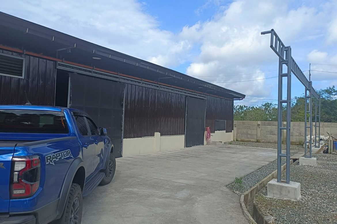 Land for Sale in Patutong Malaki North, Tagaytay, Cavite – photo 3