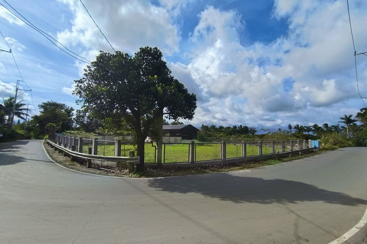 Land for Sale in Patutong Malaki North, Tagaytay, Cavite – photo 6