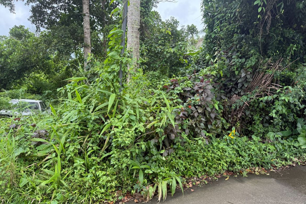 Land for Sale in Patutong Malaki North, Tagaytay, Cavite – photo 3
