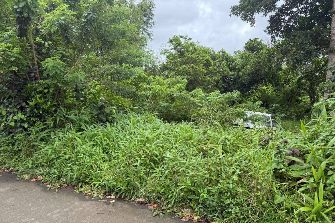 Land for Sale in Patutong Malaki North, Tagaytay, Cavite – photo 5