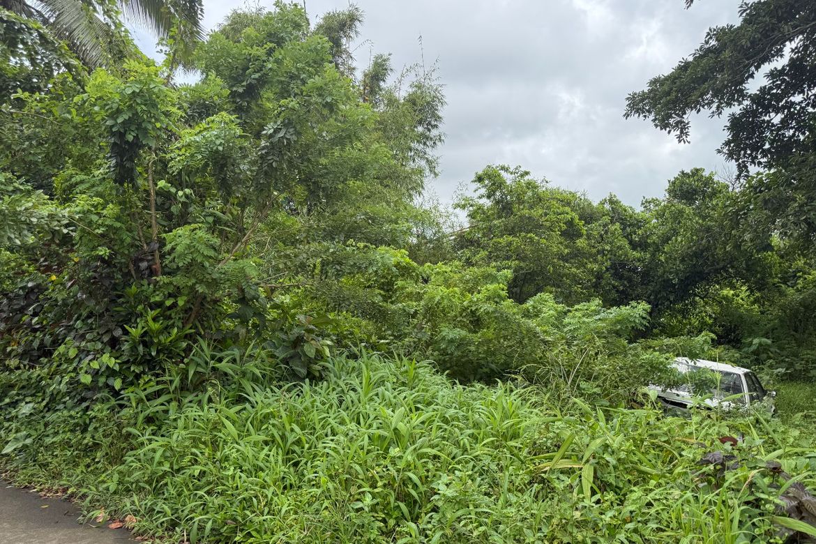 Land for Sale in Patutong Malaki North, Tagaytay, Cavite – photo 8