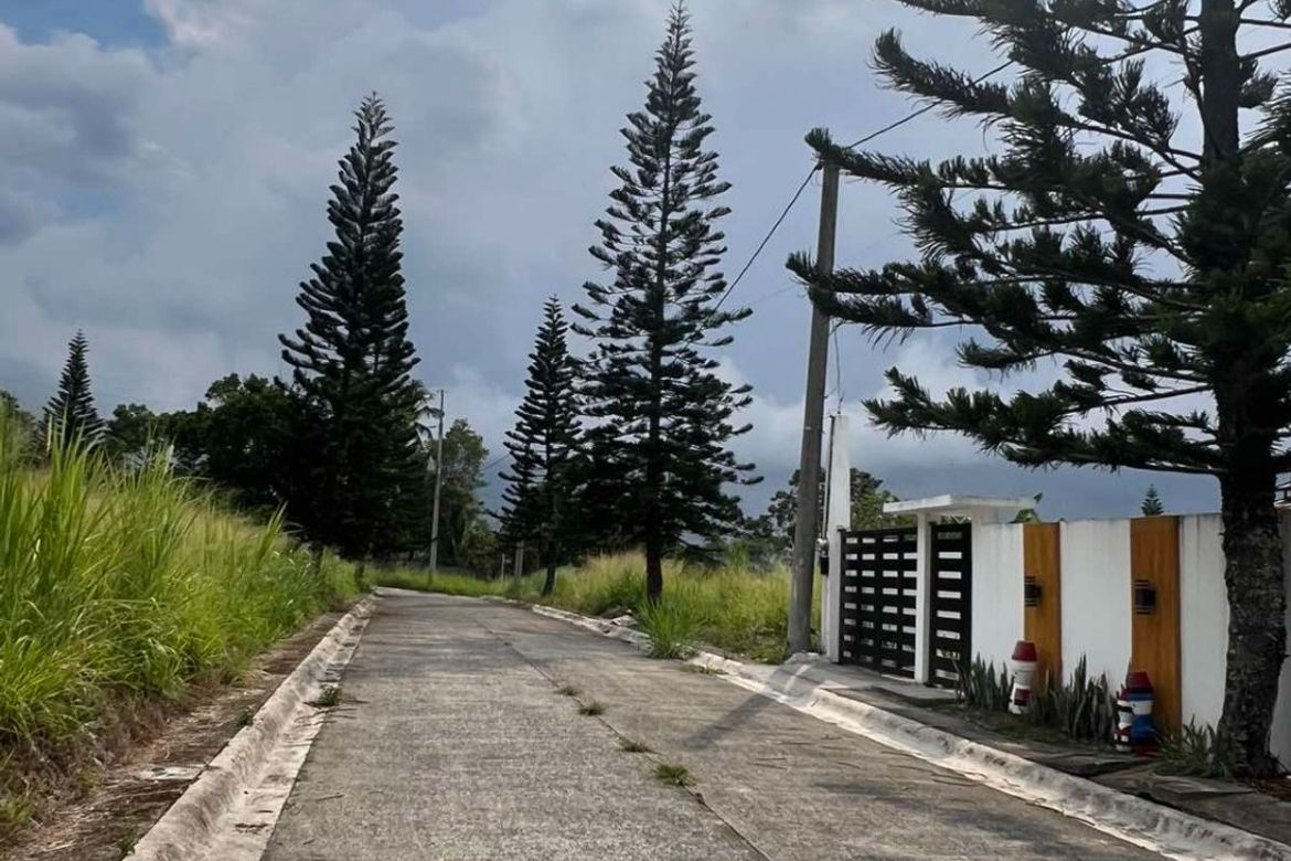 Land for Sale in Patutong Malaki South, Tagaytay, Cavite – photo 2