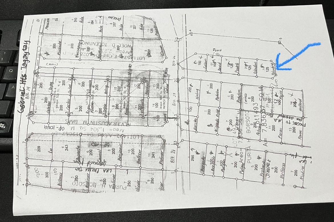 Land for Sale in Patutong Malaki South, Tagaytay, Cavite – photo 2