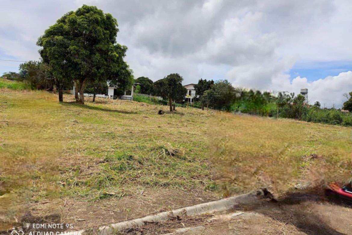 Land for Sale in Patutong Malaki South, Tagaytay, Cavite – photo 2