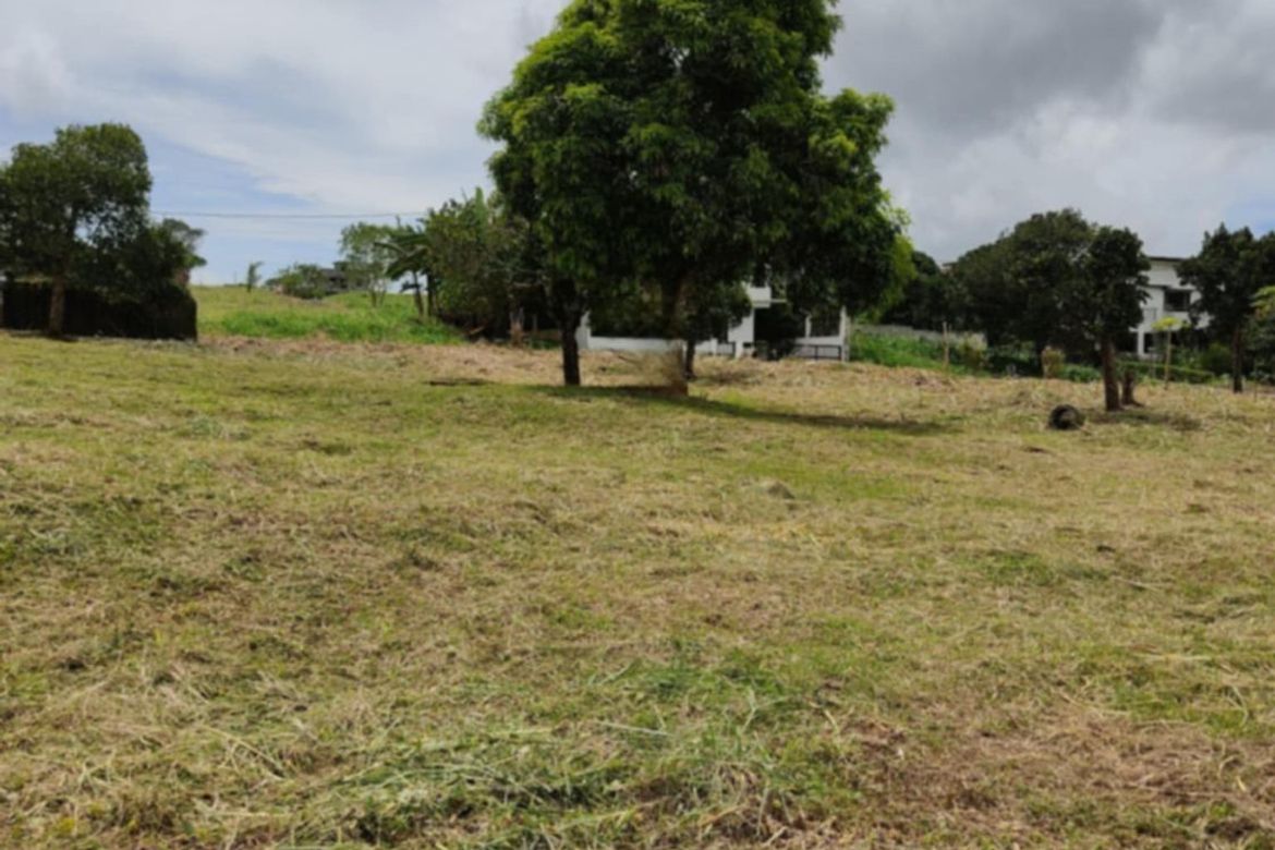 Land for Sale in Patutong Malaki South, Tagaytay, Cavite – photo 4