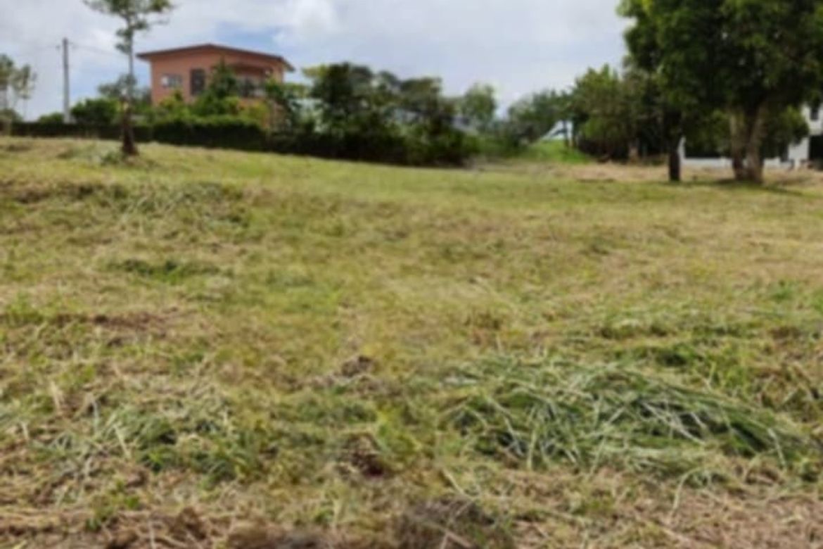 Land for Sale in Patutong Malaki South, Tagaytay, Cavite – photo 5