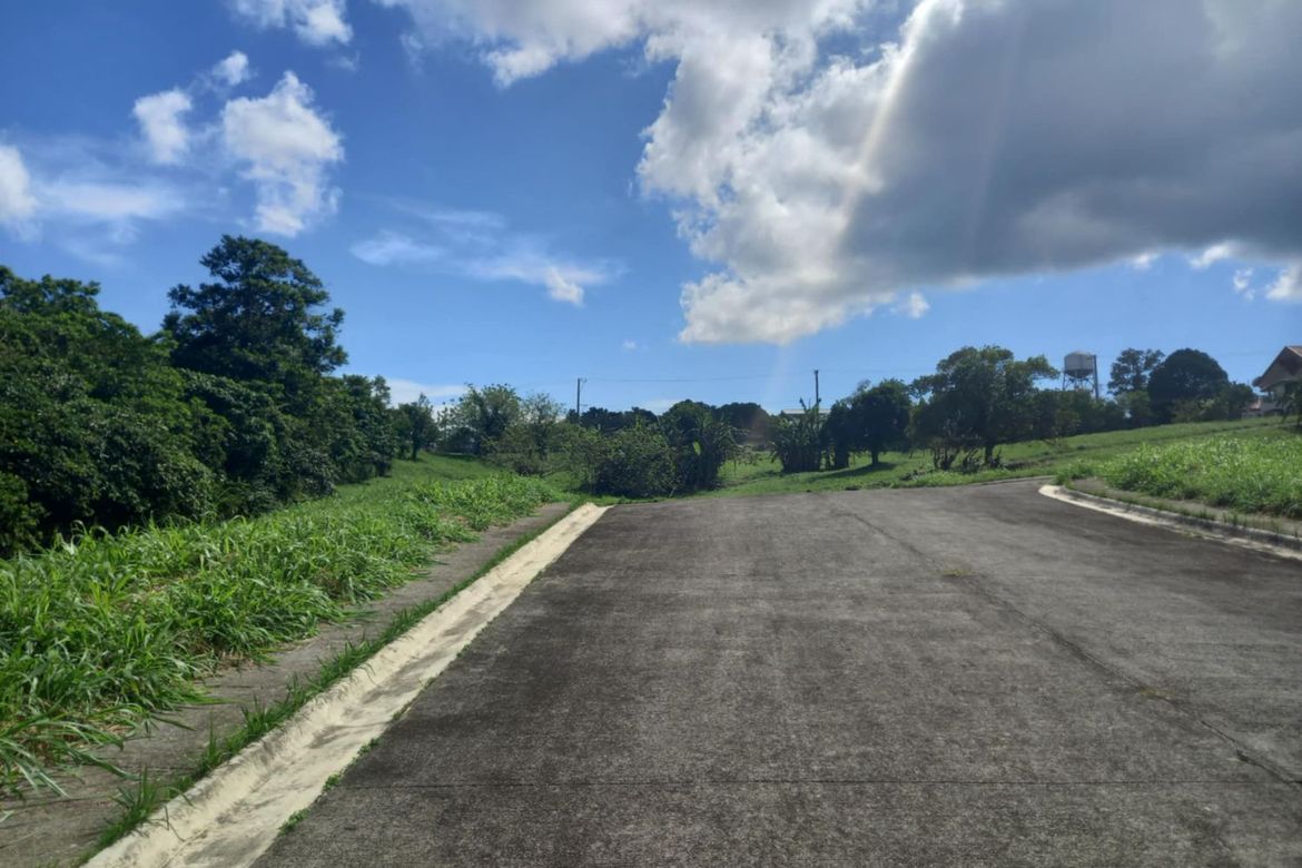Land for Sale in Patutong Malaki South, Tagaytay, Cavite – photo 3