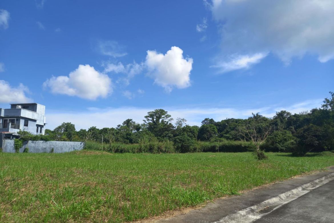 Land for Sale in Patutong Malaki South, Tagaytay, Cavite – photo 7