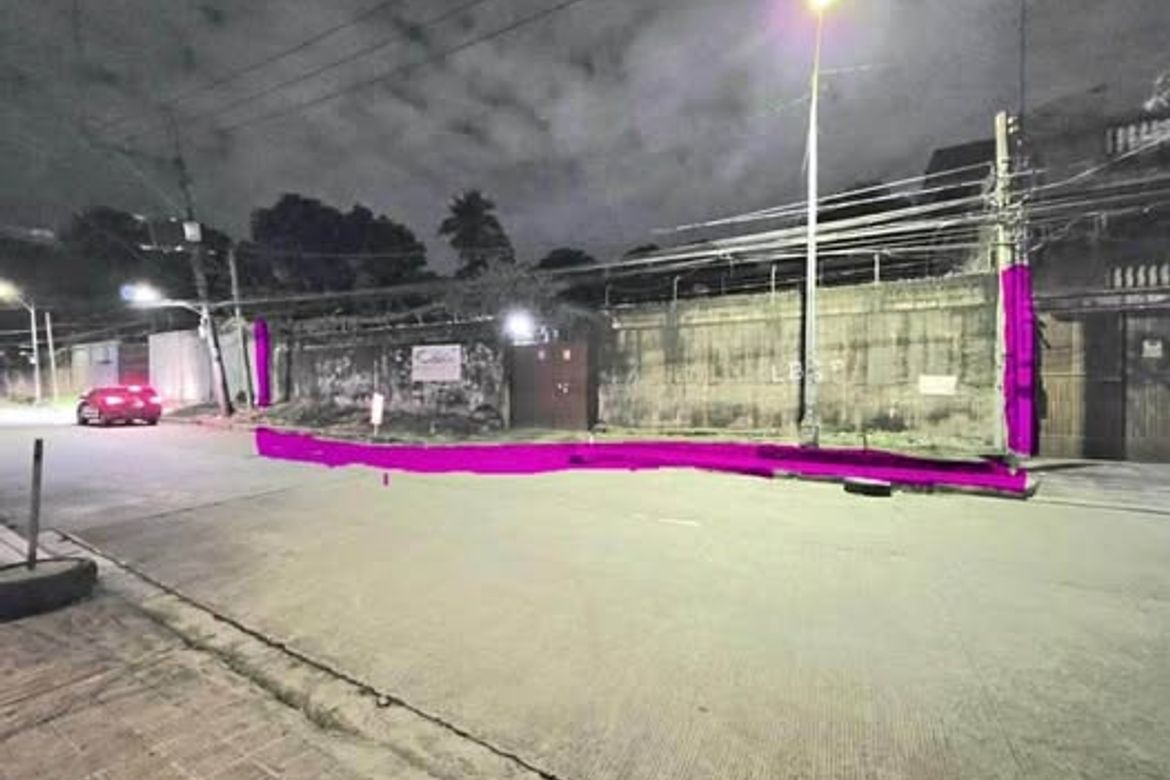 Land for Sale in Payatas, Quezon City, Metro Manila
