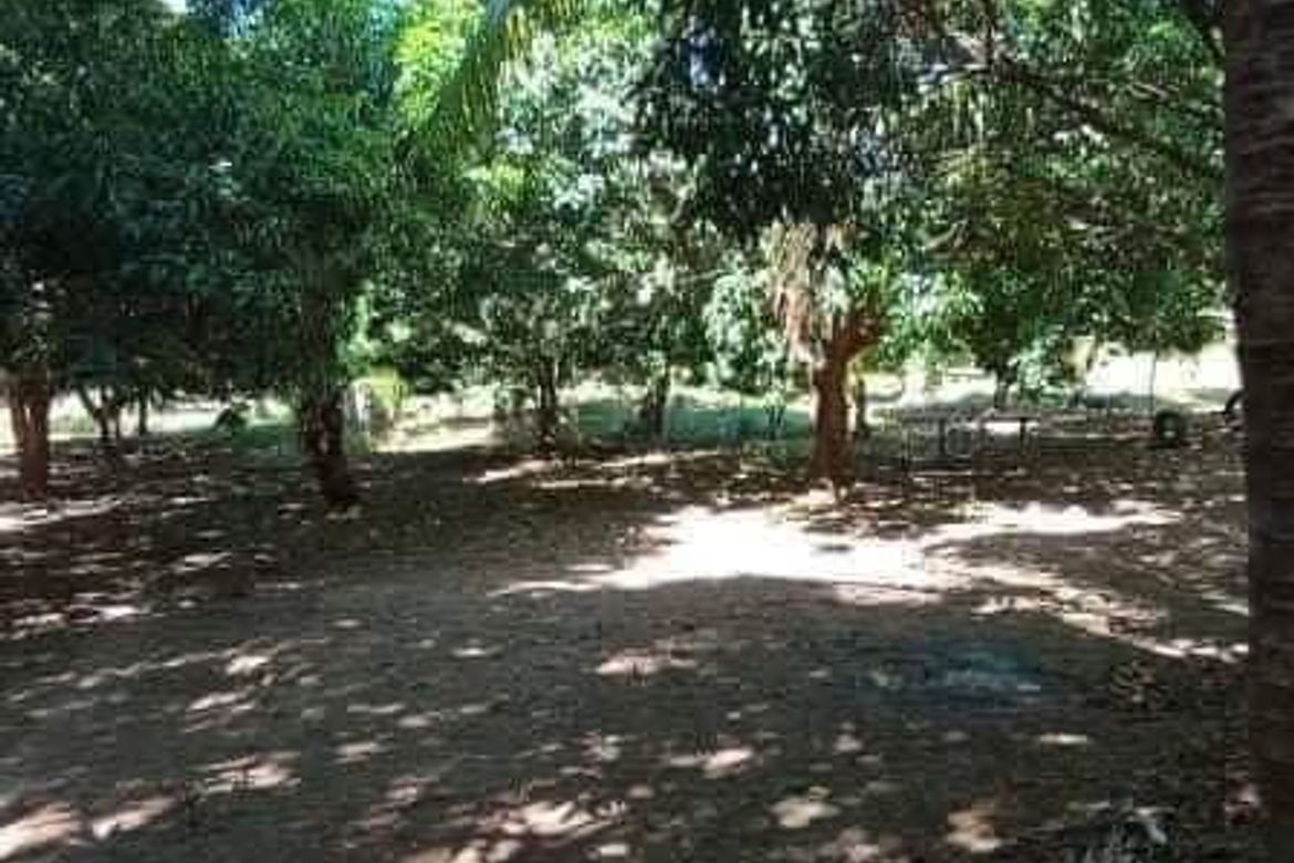 Land for Sale in Paysawan, Bagac, Bataan – photo 2