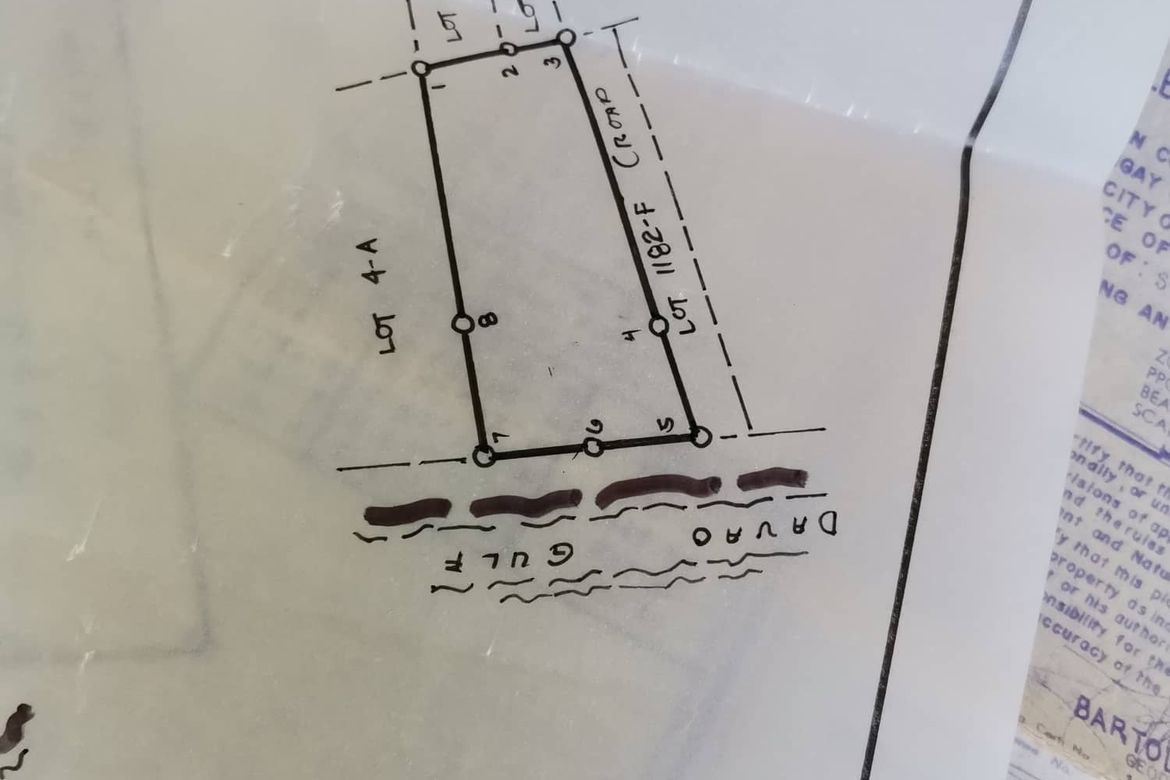 Land for Sale in Peñaplata, Samal, Davao del Norte – photo 2