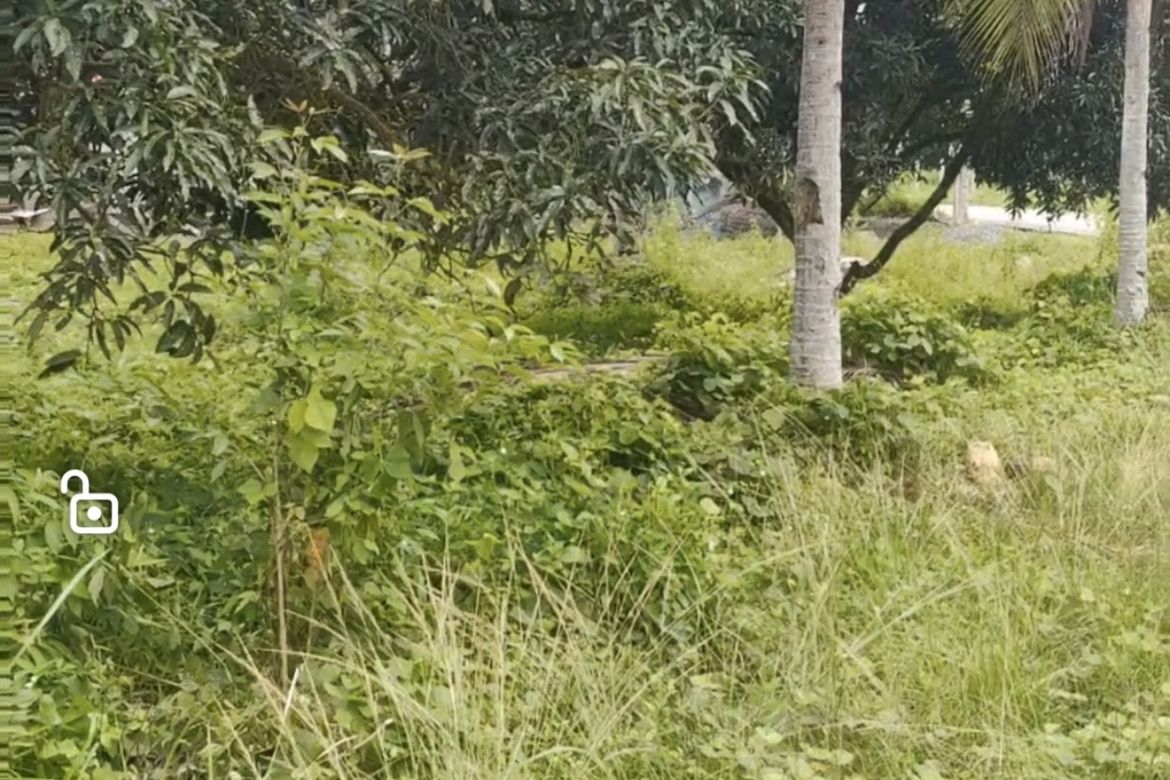 Land for Sale in Peñaplata, Samal, Davao del Norte
