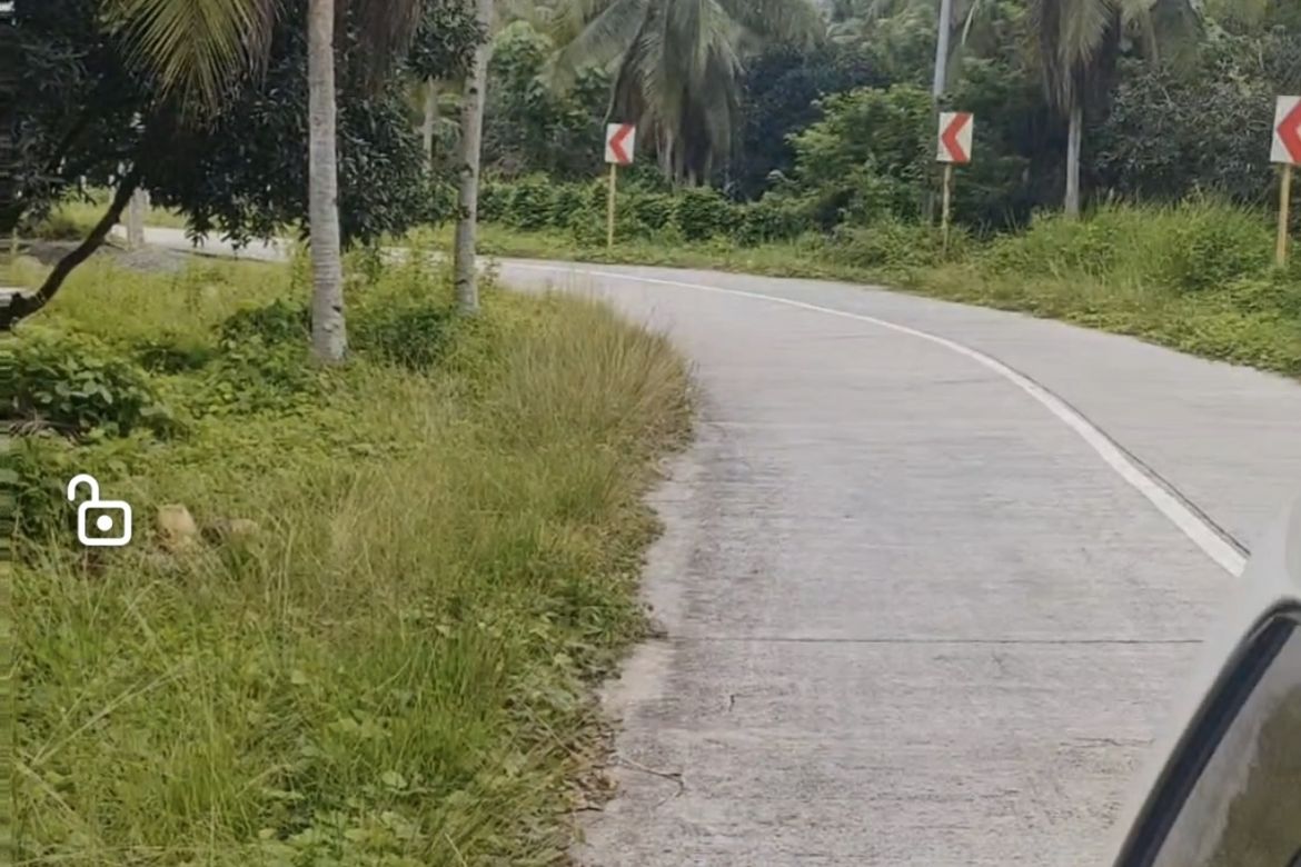 Land for Sale in Peñaplata, Samal, Davao del Norte – photo 2