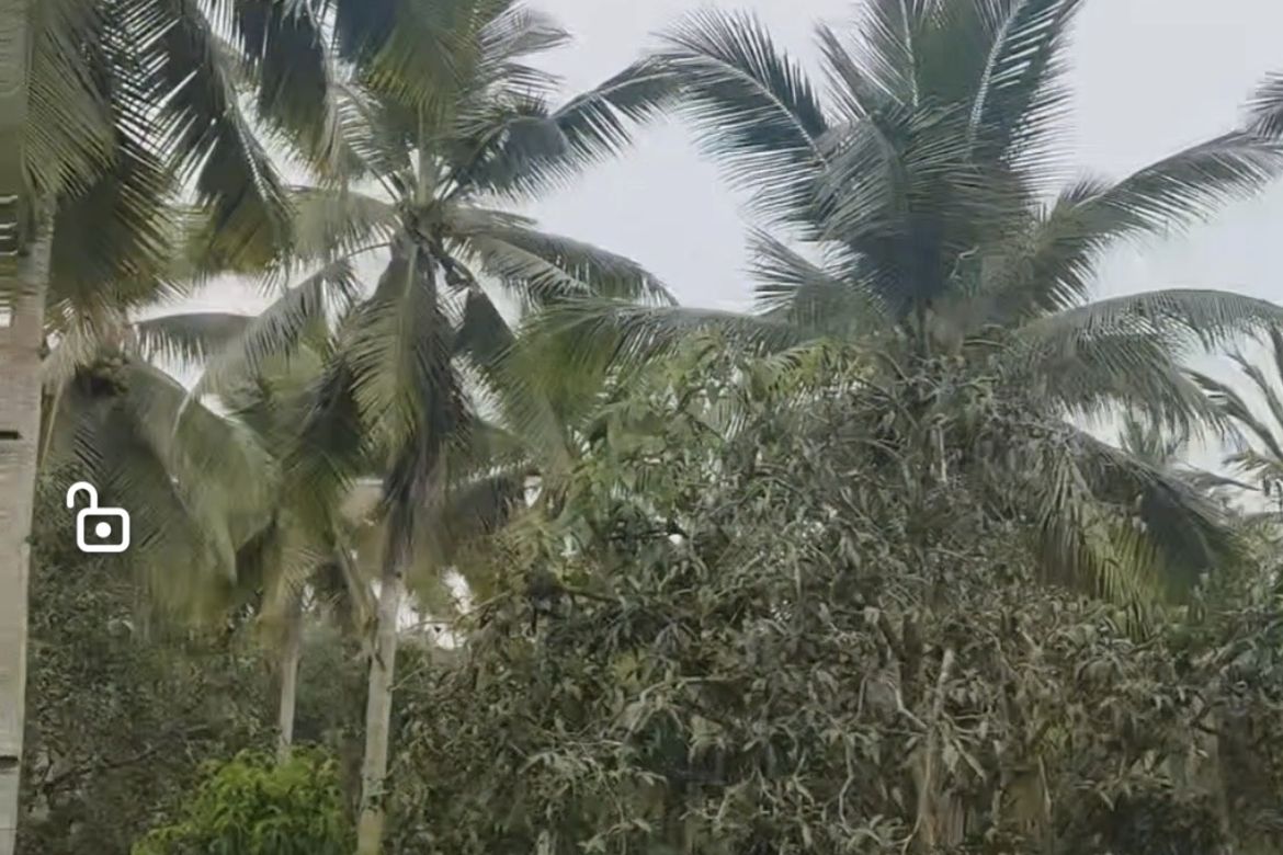 Land for Sale in Peñaplata, Samal, Davao del Norte – photo 3
