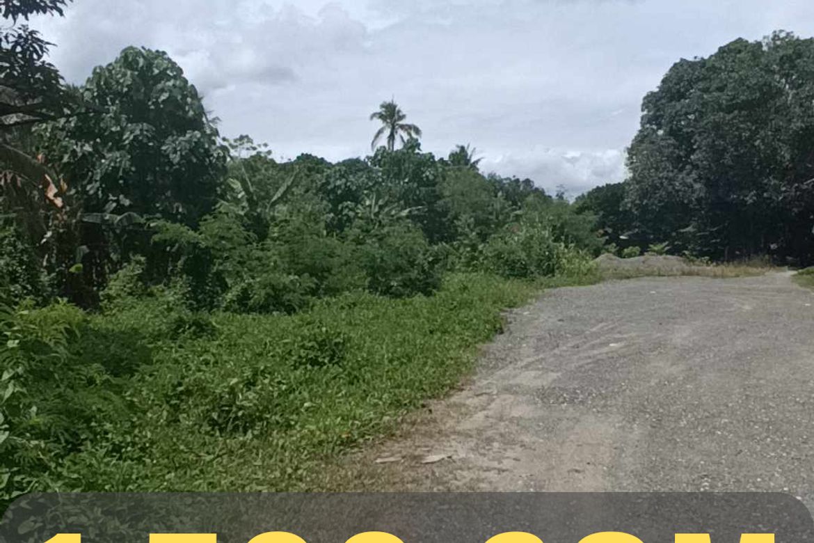 Land for Sale in Peñaplata, Samal, Davao del Norte