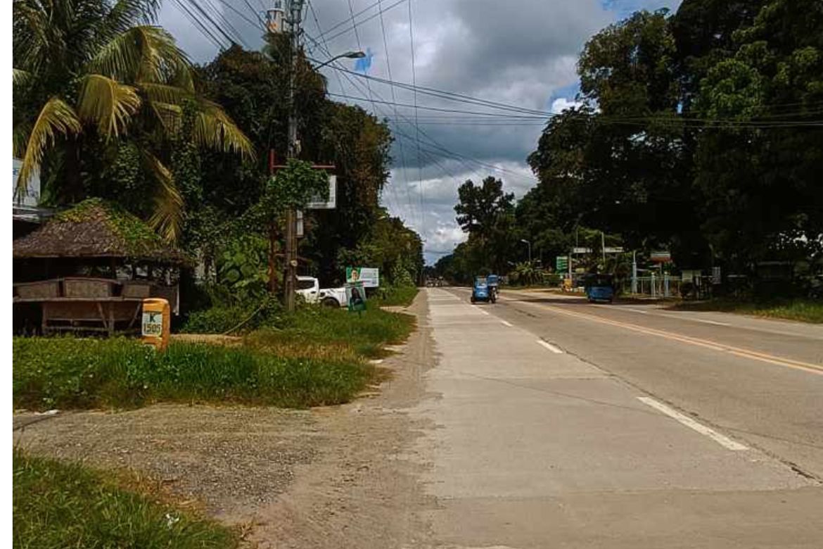 Land for Sale in Peñaplata, Samal, Davao del Norte – photo 2