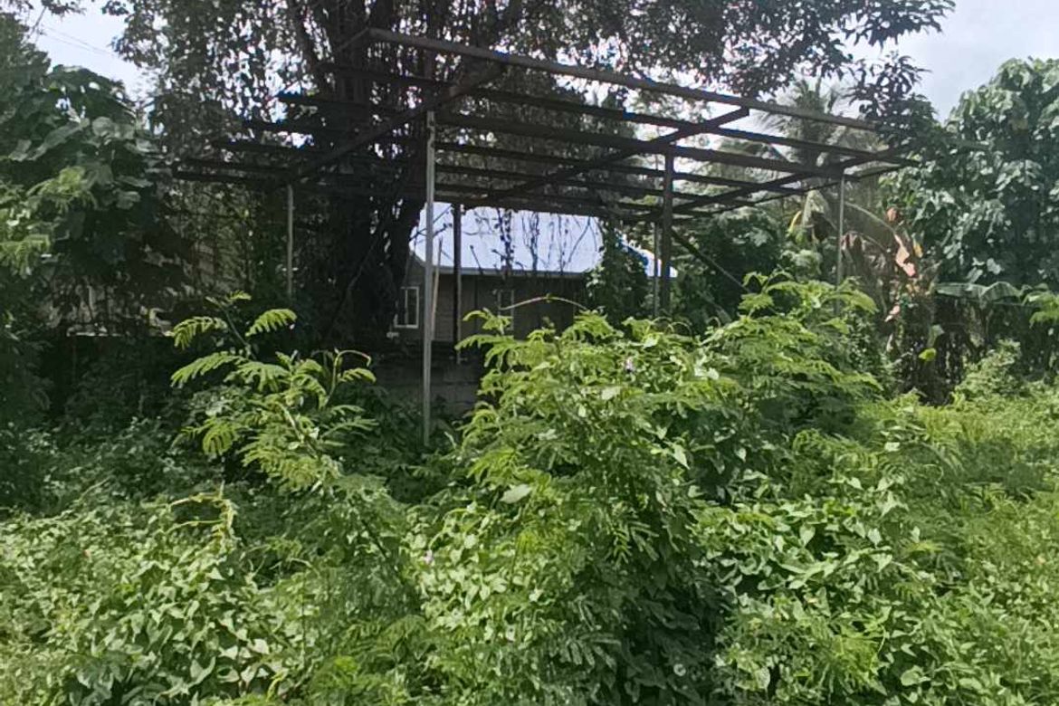 Land for Sale in Peñaplata, Samal, Davao del Norte – photo 3