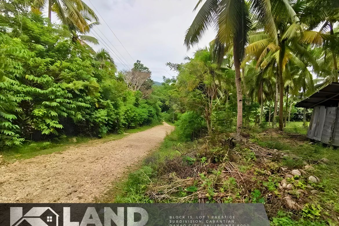 Land for Sale in Peñaplata, Samal, Davao del Norte – photo 2