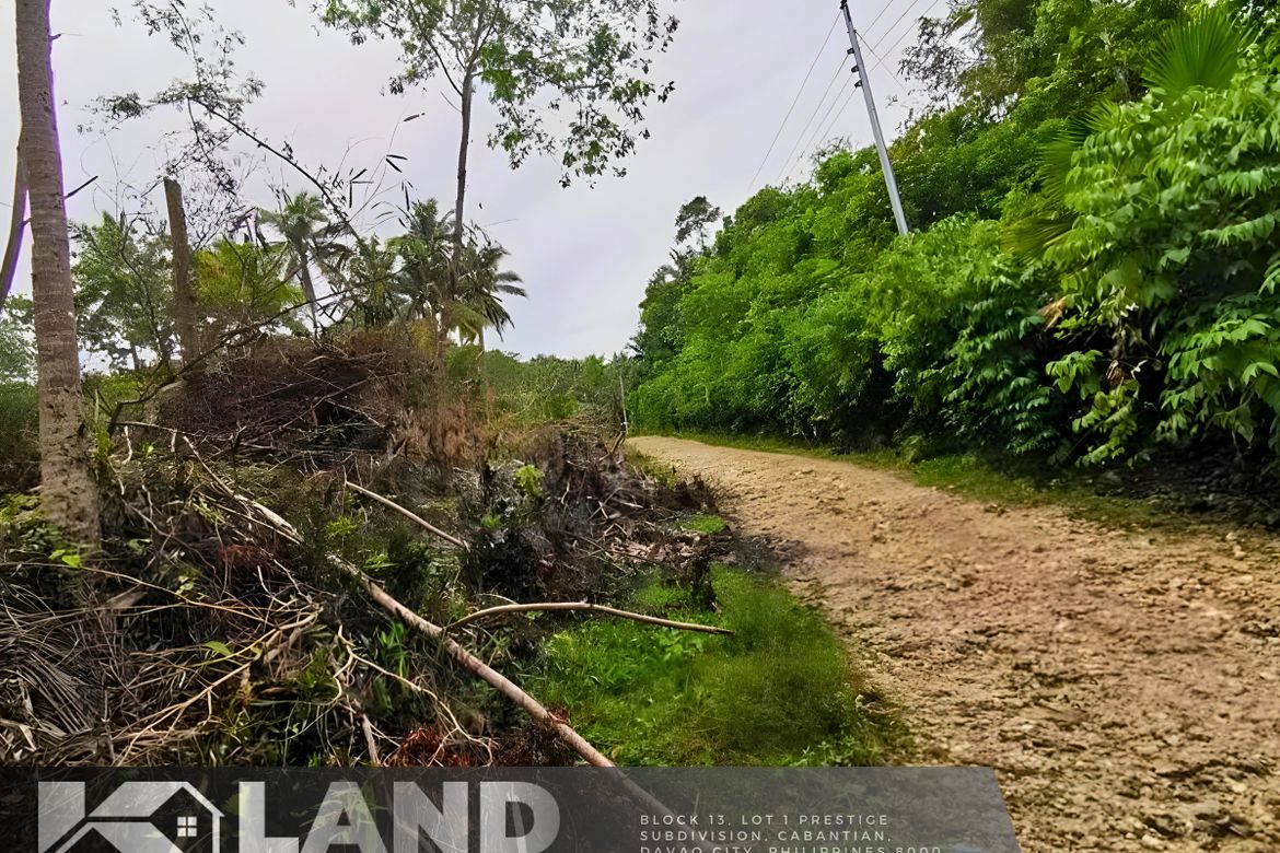 Land for Sale in Peñaplata, Samal, Davao del Norte – photo 3