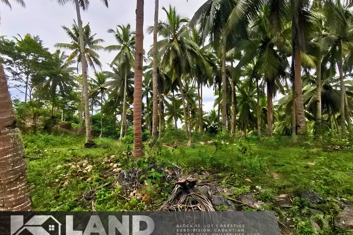 Land for Sale in Peñaplata, Samal, Davao del Norte – photo 4