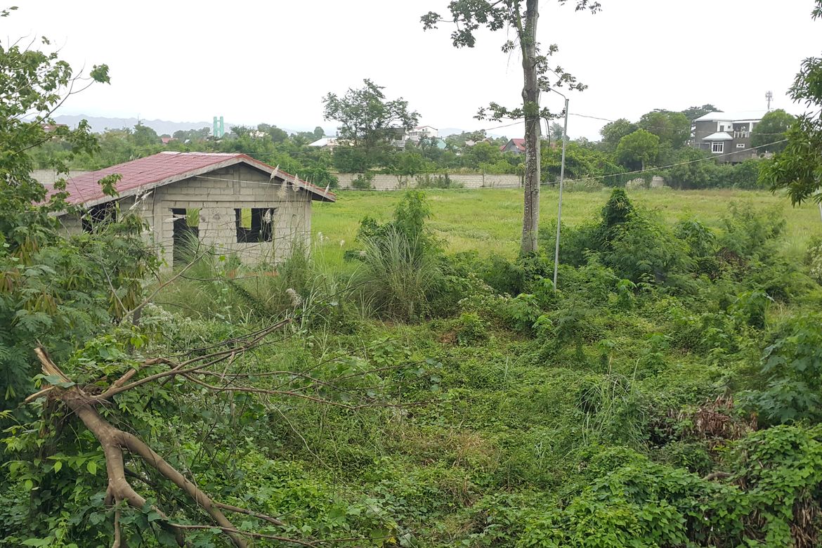 Land for Sale in Pengue, Tuguegarao, Cagayan – photo 4