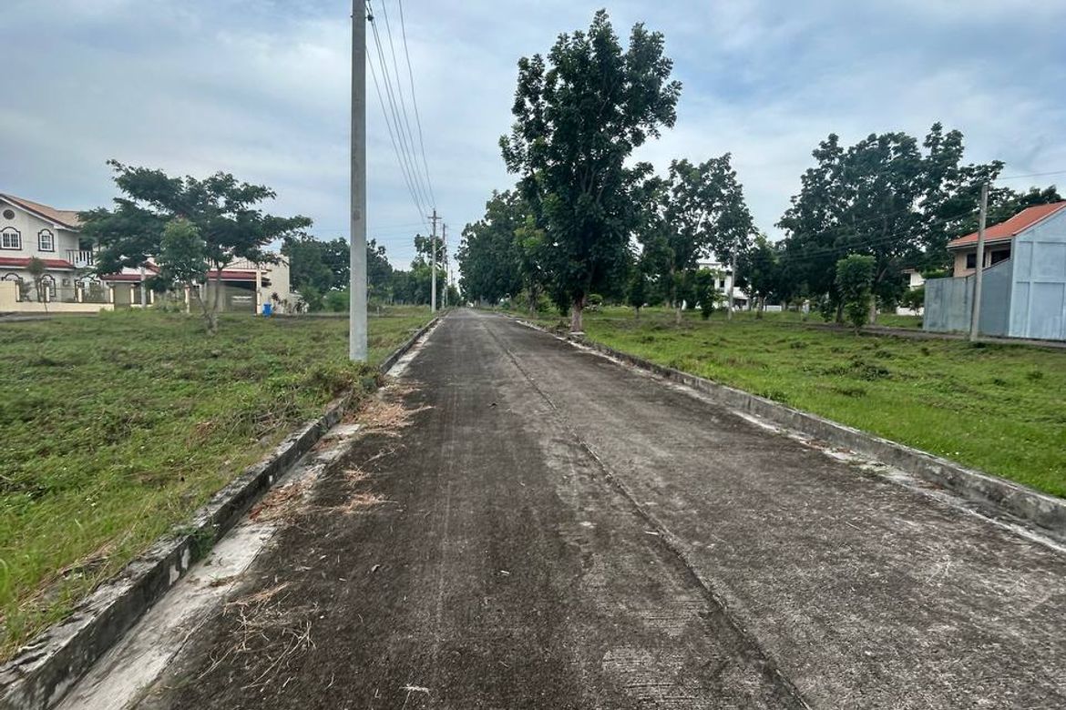 Land for Sale in Perrelos, Carcar, Cebu – photo 5