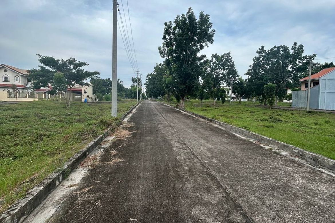 Land for Sale in Perrelos, Carcar, Cebu – photo 6