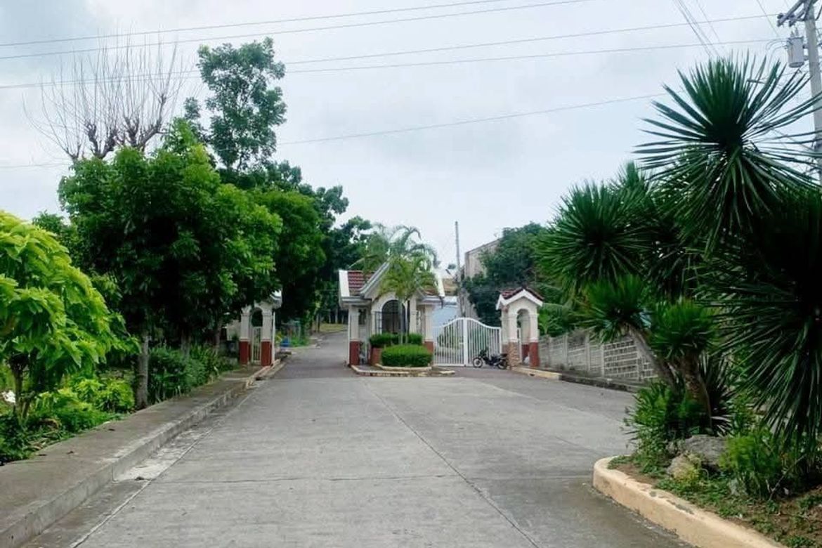 Land for Sale in Perrelos, Carcar, Cebu – photo 4
