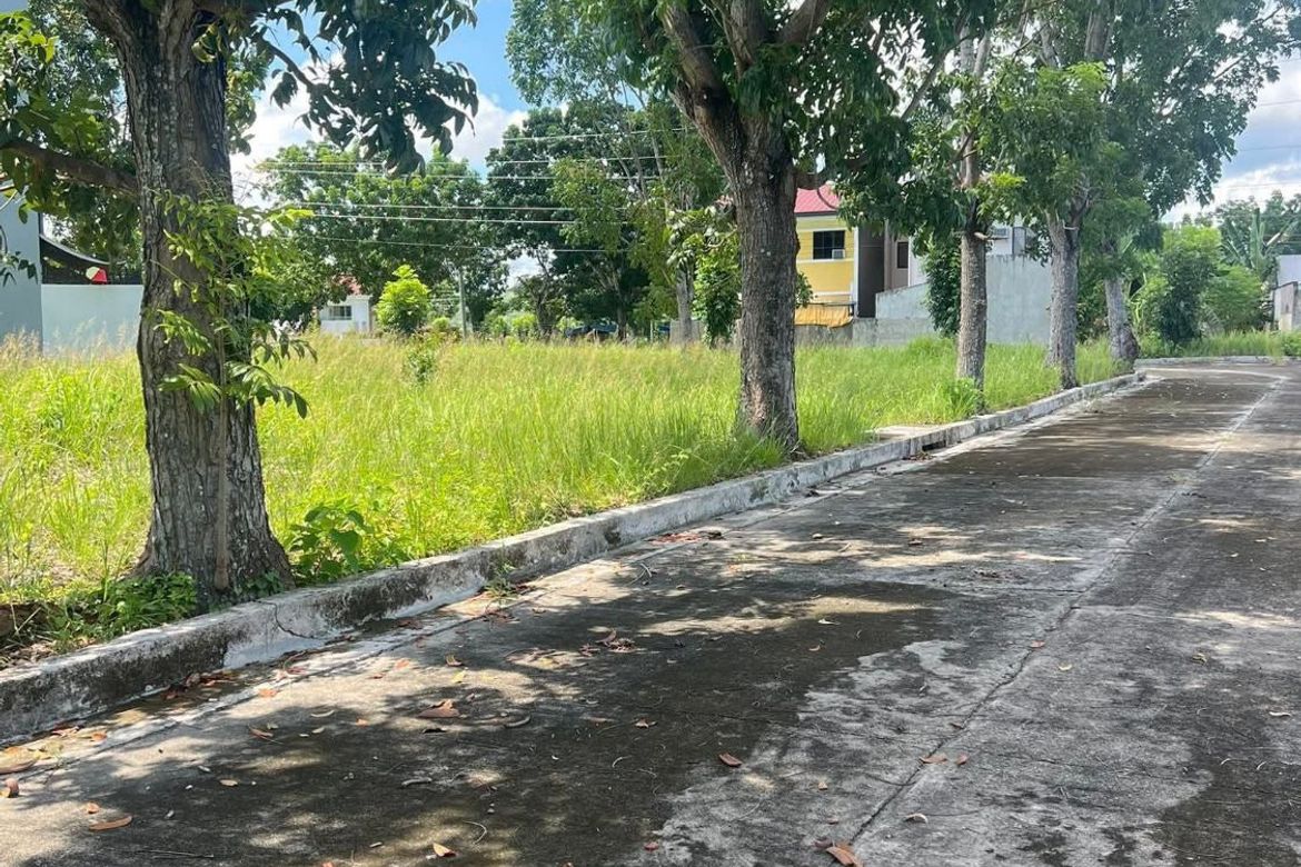 Land for Sale in Perrelos, Carcar, Cebu – photo 6
