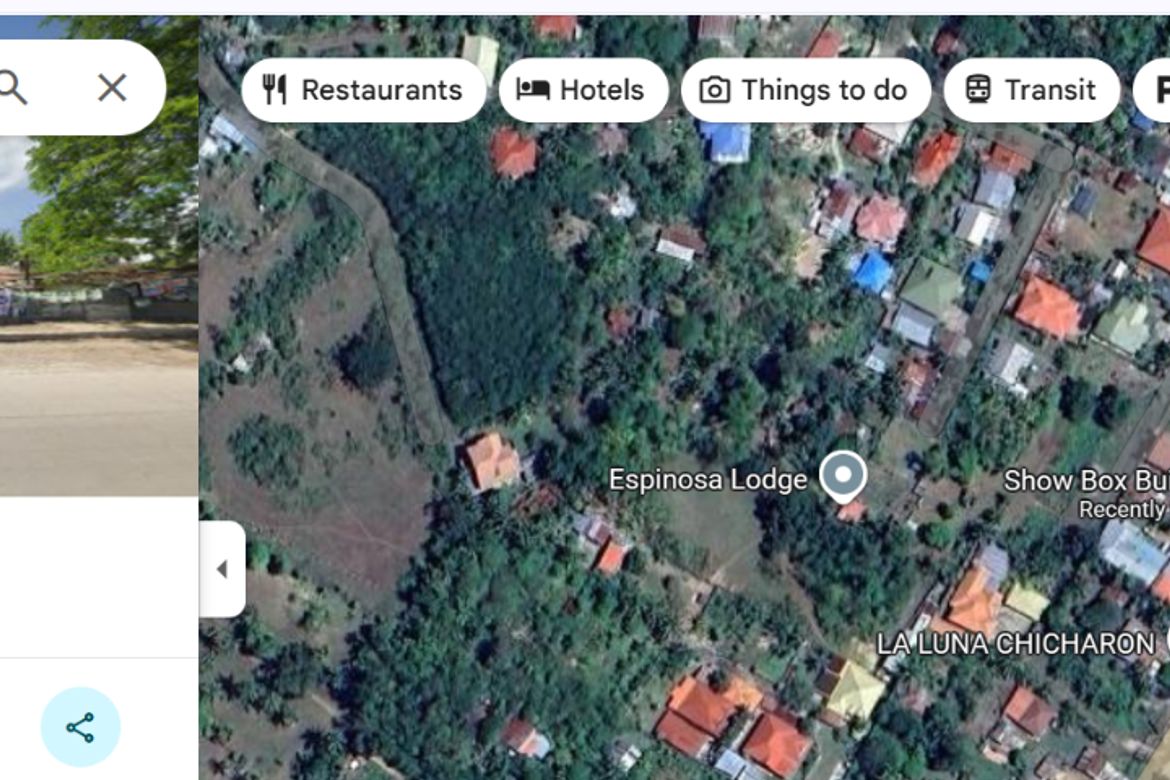 Land for Sale in Perrelos, Carcar, Cebu – photo 3