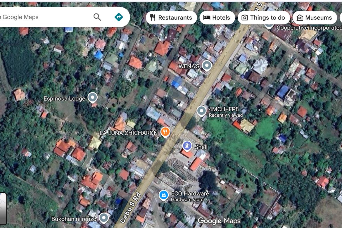 Land for Sale in Perrelos, Carcar, Cebu – photo 4