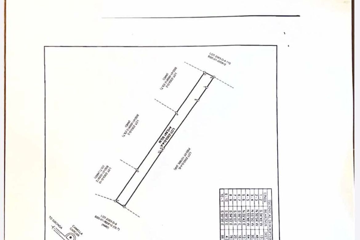 Land for Sale in Perrelos, Carcar, Cebu – photo 6