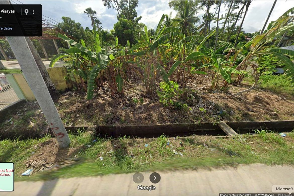 Land for Sale in Perrelos, Carcar, Cebu