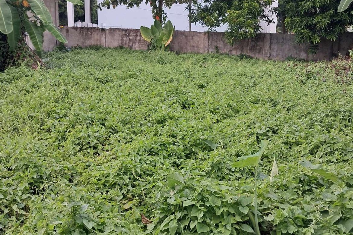 Land for Sale in Perrelos, Carcar, Cebu – photo 3