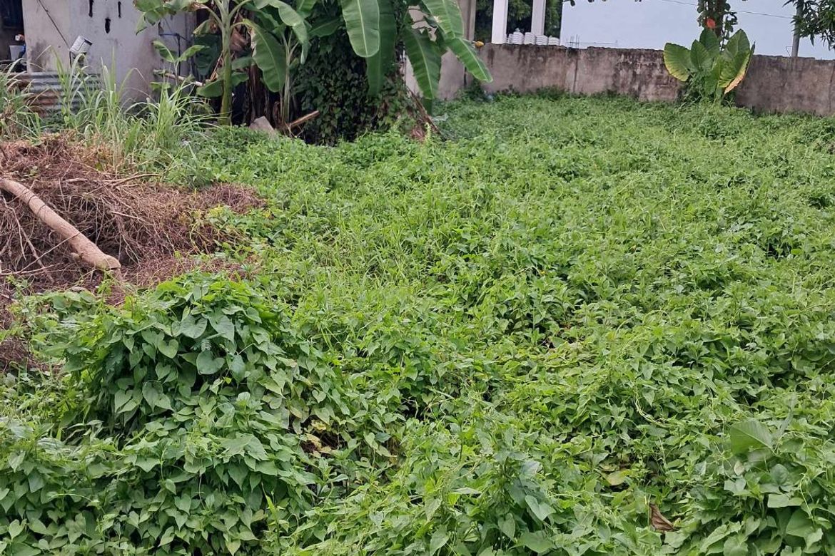 Land for Sale in Perrelos, Carcar, Cebu – photo 5