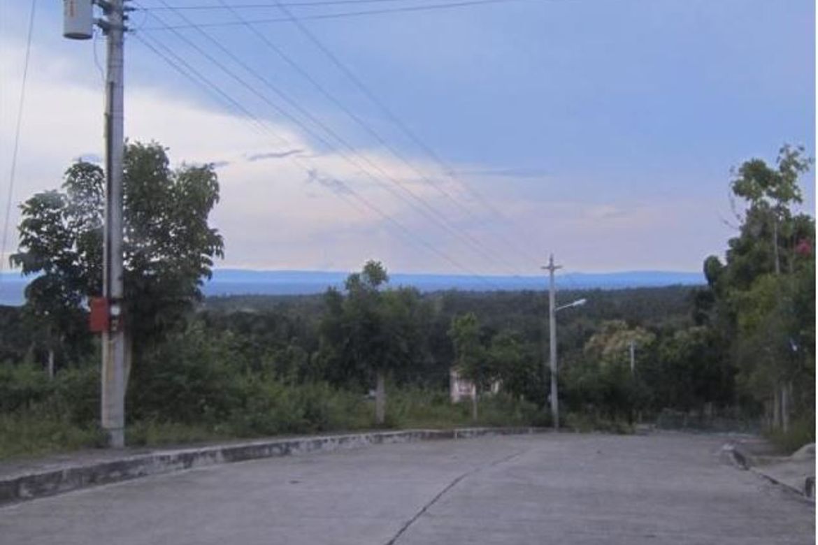 Land for Sale in Perrelos, Carcar, Cebu – photo 3