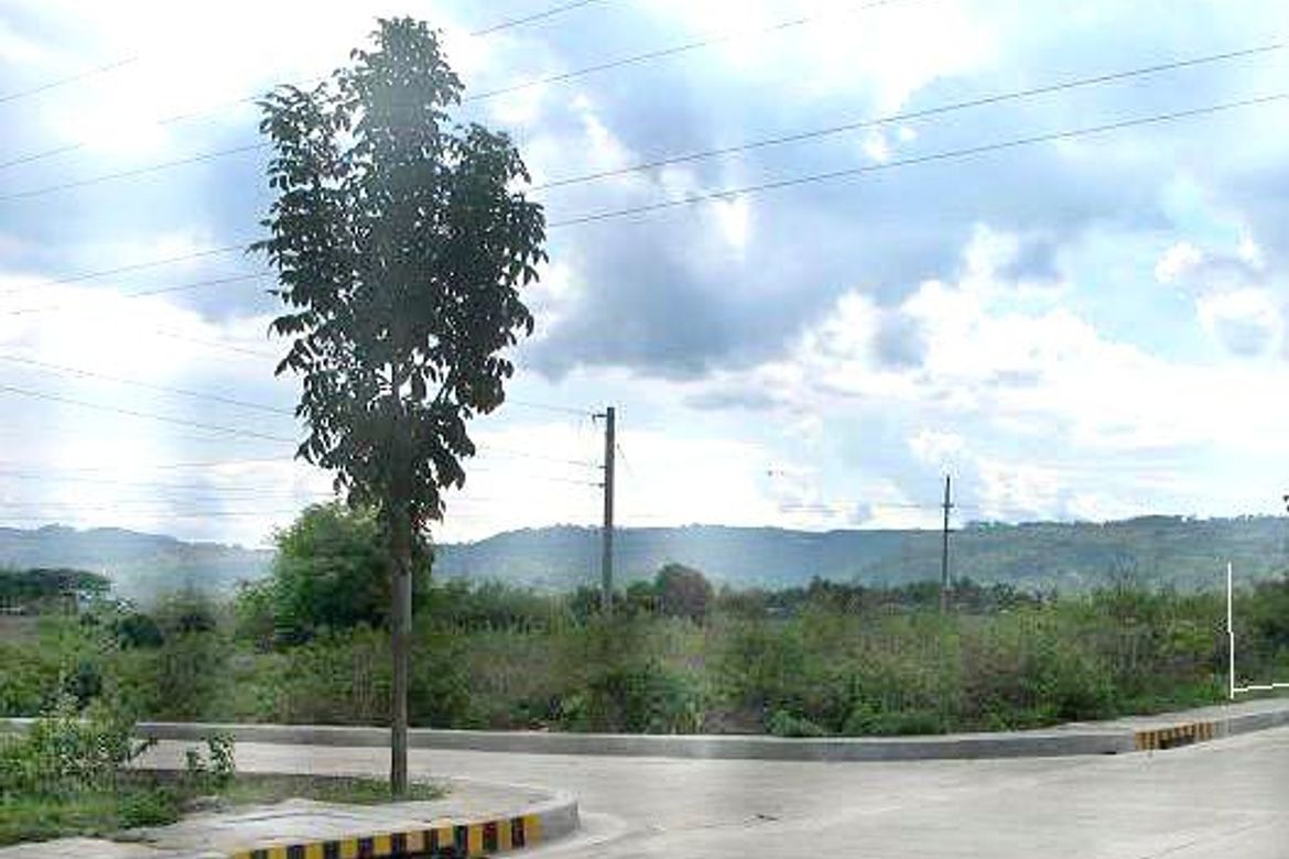 Land for Sale in Perrelos, Carcar, Cebu – photo 6