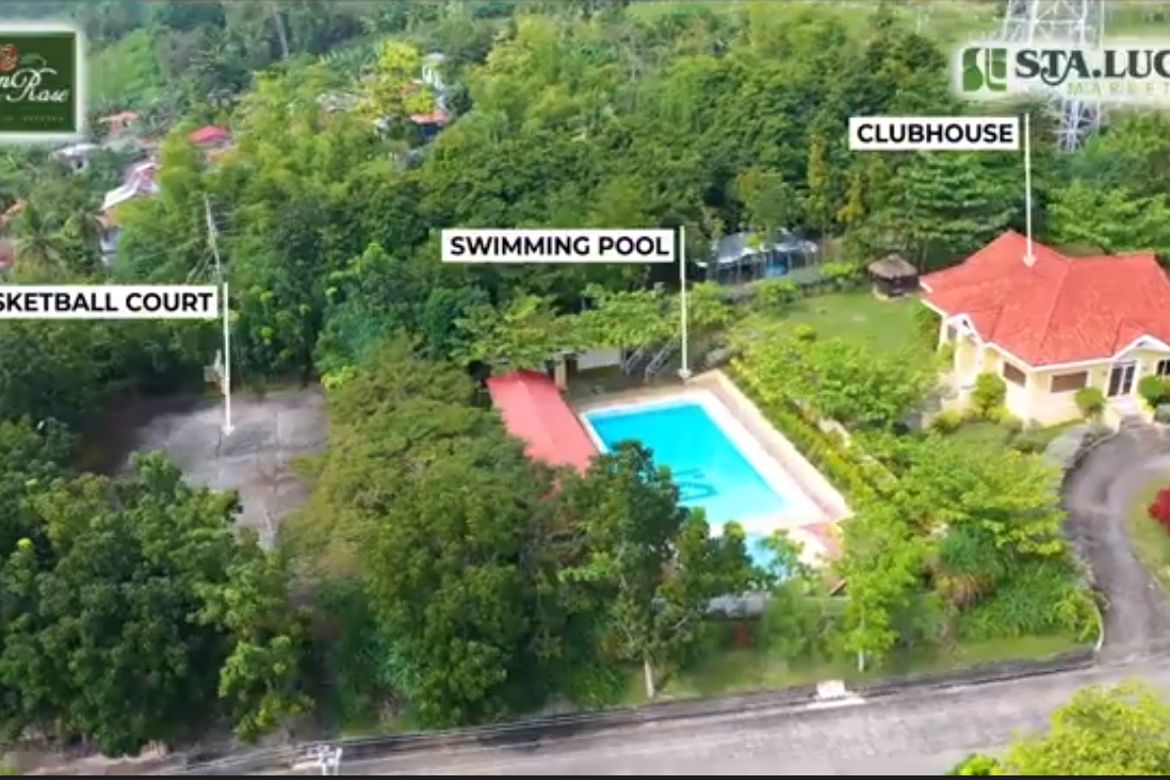 Land for Sale in Perrelos, Carcar, Cebu – photo 7