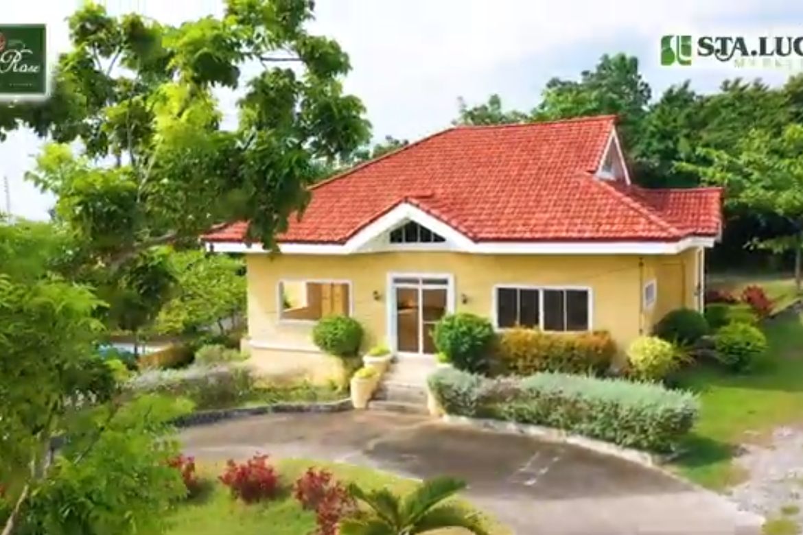 Land for Sale in Perrelos, Carcar, Cebu – photo 8