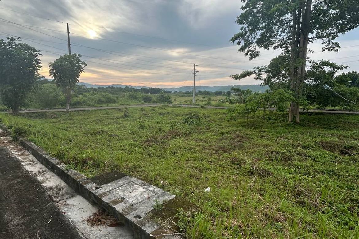 Land for Sale in Perrelos, Carcar, Cebu – photo 4