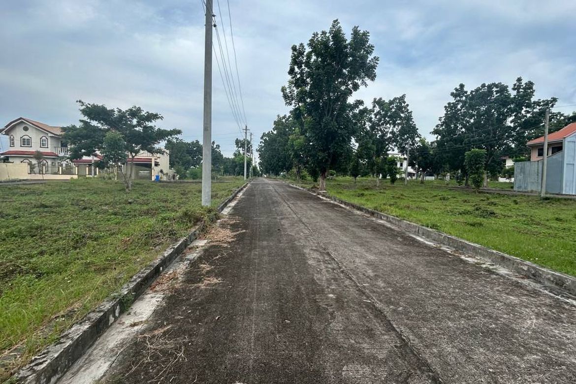 Land for Sale in Perrelos, Carcar, Cebu – photo 7