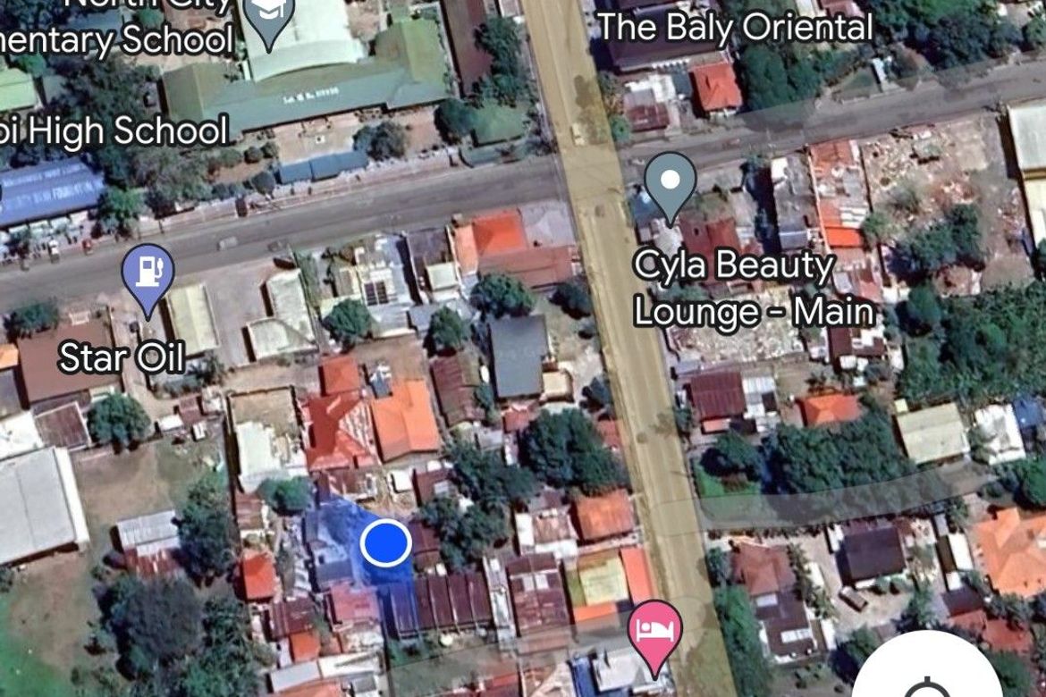 Land for Sale in Piapi, Dumaguete, Negros Oriental – photo 7