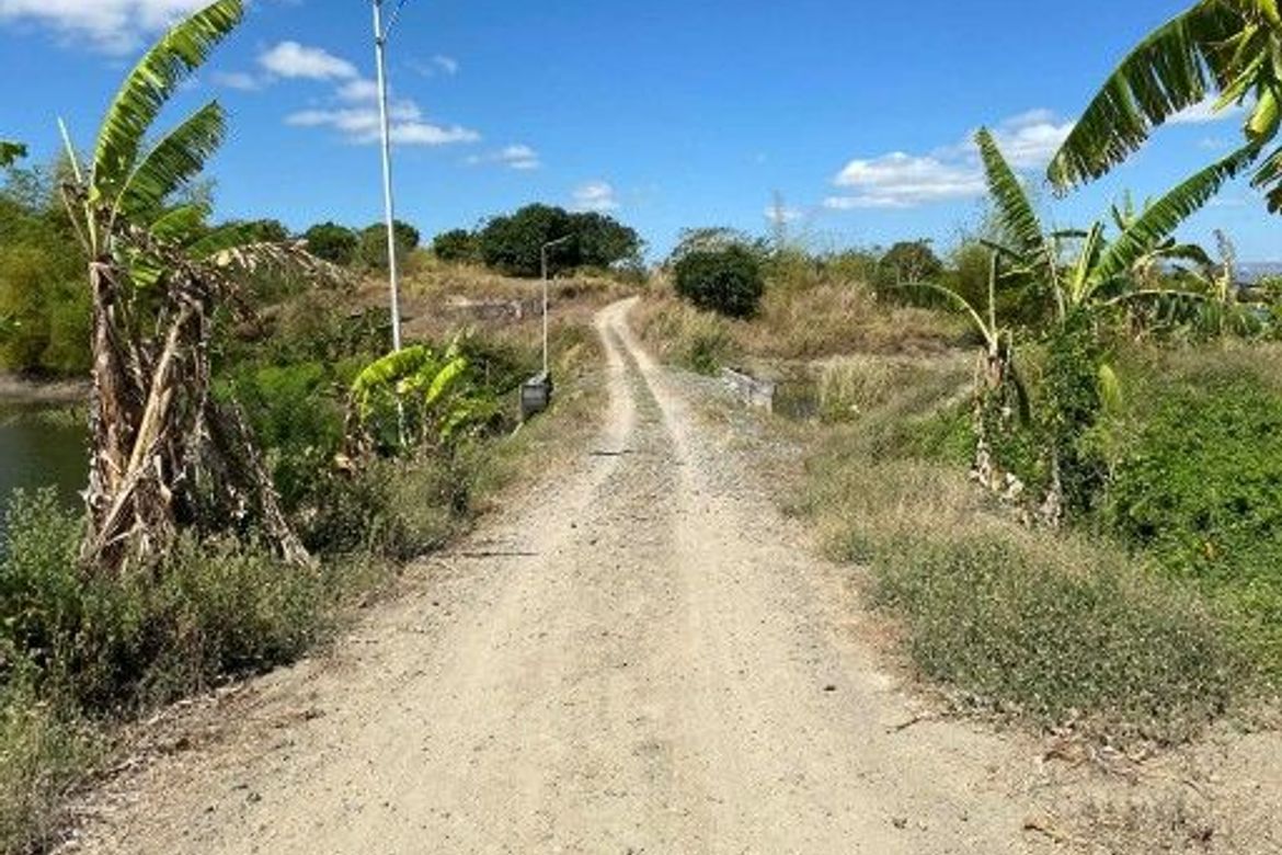 Land for Sale in Pias, General Tinio, Nueva Ecija – photo 2