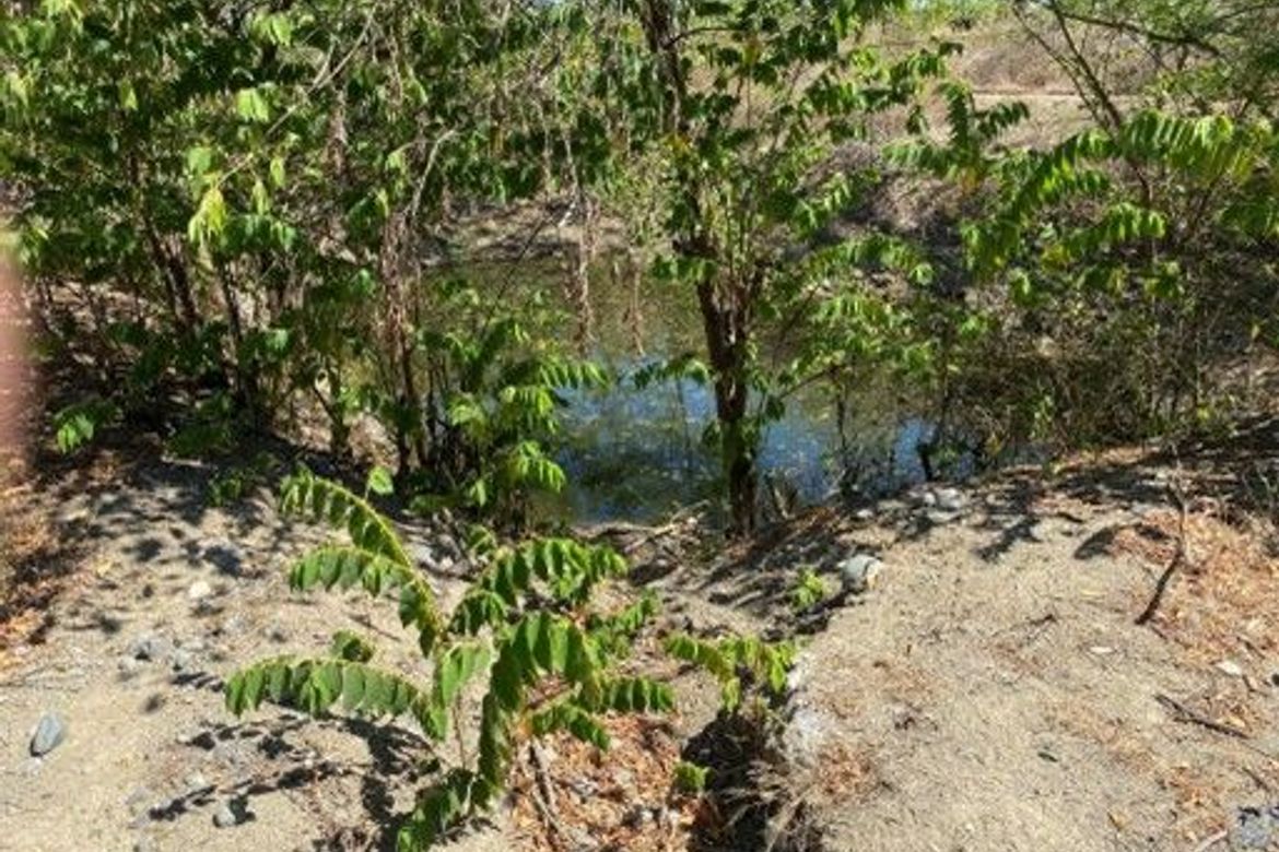 Land for Sale in Pias, General Tinio, Nueva Ecija – photo 5