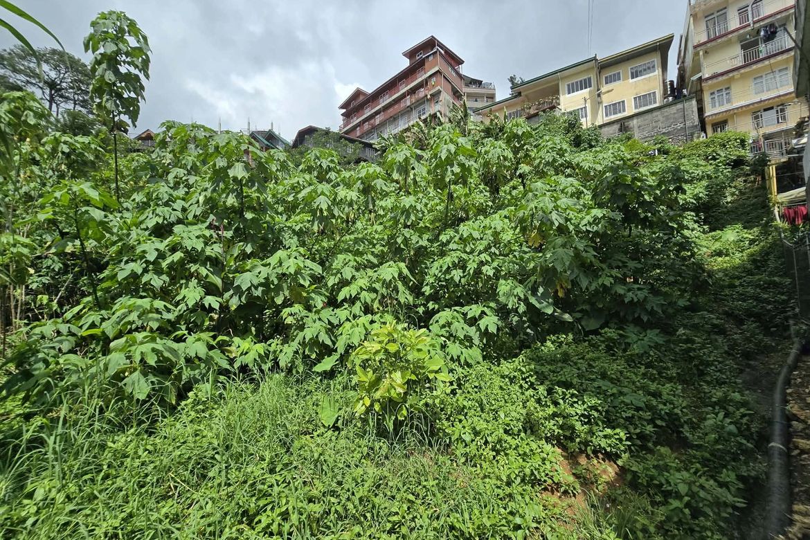 Land for Sale in Pico, La trinidad, Benguet