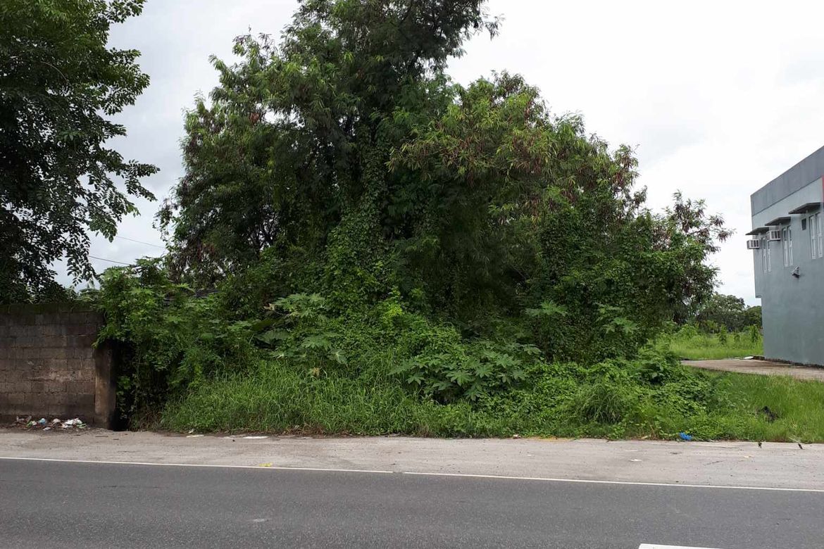 Land for Sale in Piel, Baliuag, Bulacan