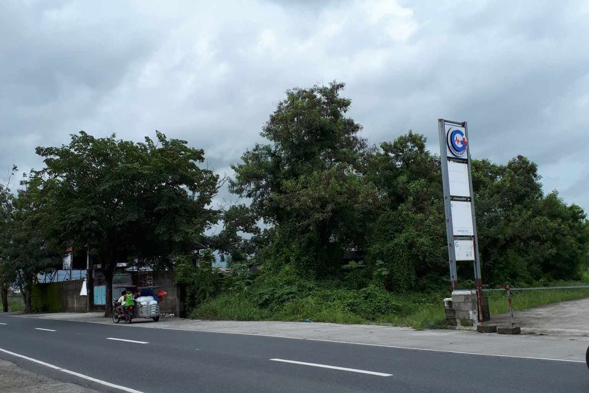 Land for Sale in Piel, Baliuag, Bulacan – photo 2