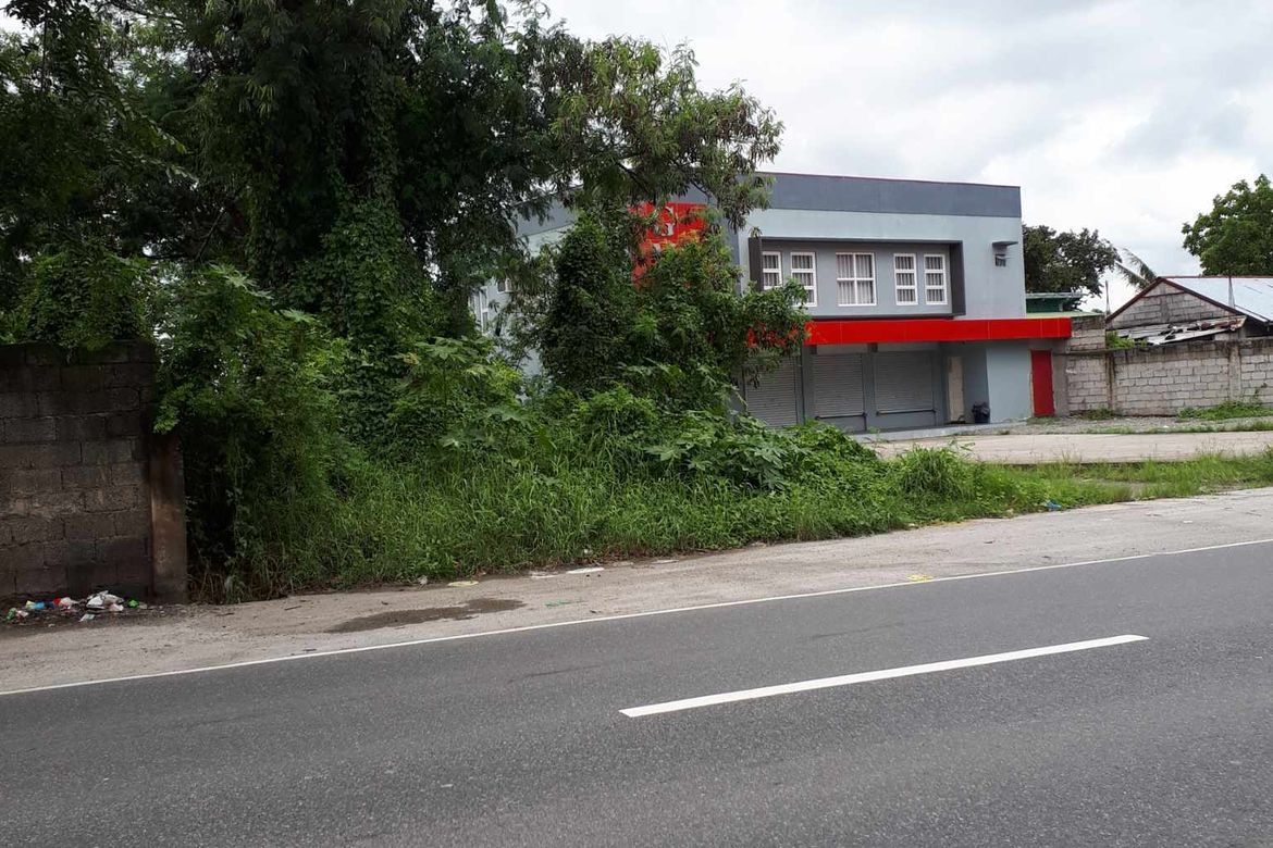 Land for Sale in Piel, Baliuag, Bulacan – photo 3