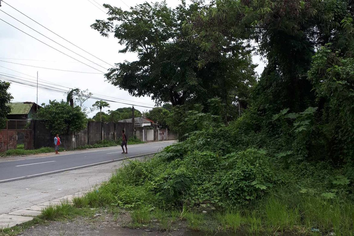 Land for Sale in Piel, Baliuag, Bulacan – photo 5