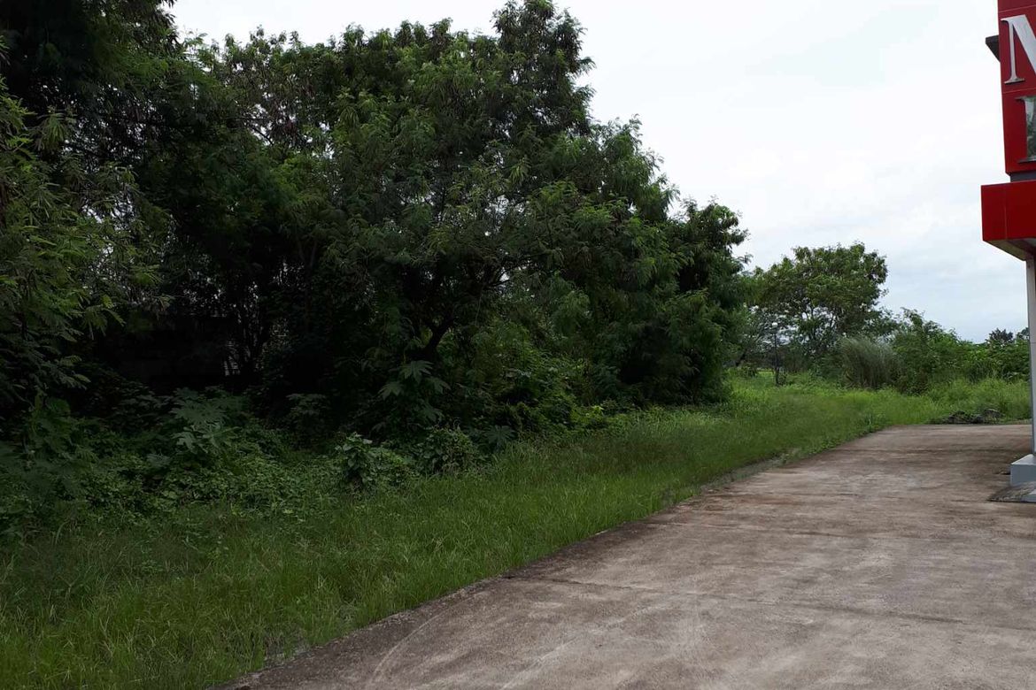 Land for Sale in Piel, Baliuag, Bulacan – photo 6
